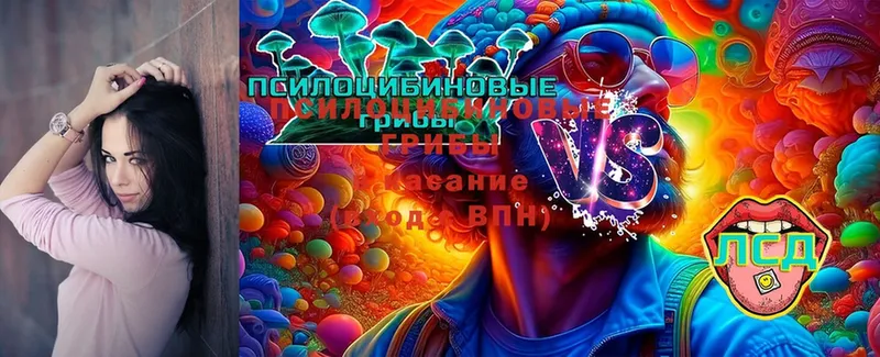 Псилоцибиновые грибы Cubensis  купить наркотик  Белоозёрский 